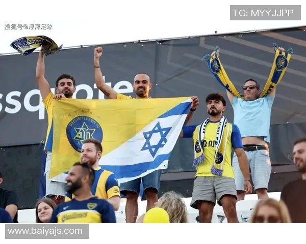 足球明星板块的多样性与魅力探讨及其对球迷文化的影响